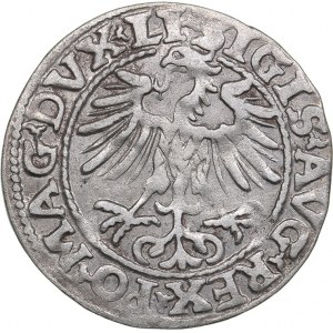 Lithuania 1/2 grosz 1554 - Sigismund II Augustus (1545-1572)