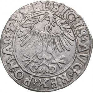 Lithuania 1/2 grosz 1556 - Sigismund II Augustus (1545-1572)