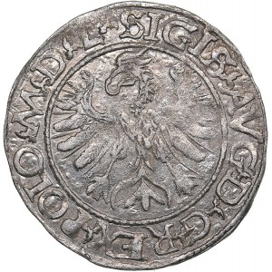 Lithuania 1/2 grosz 1566 - Sigismund II Augustus (1545-1572)