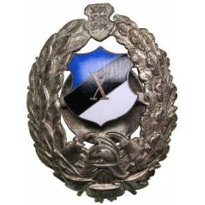 Estonia badge Firefighting - 10 years of service