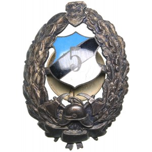 Estonia badge Firefighting - 5 years of service