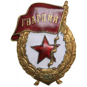 Russia - USSR Badge Guard