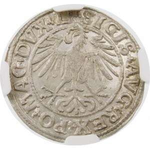 Zygmunt II August, Półgrosz 1550, Wilno – LI/LITVA