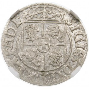 Zygmunt III Waza, Półtorak 1620, Bydgoszcz – Sas w tarczy owalnej