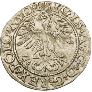 Zygmunt II August, Półgrosz 1565, Wilno – 22 Pogoń, Topór, L/LITV