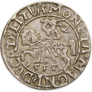 Zygmunt II August, Półgrosz 1558/5, Wilno – L/LITVA – przebitka daty – rzadki