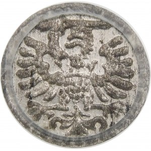 Zygmunt III Waza, Denar 1596, Gdańsk – duża data