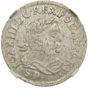 Jan III Sobieski, Szóstak 1684 SP, Bydgoszcz – rzadki i piękny