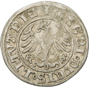 Zygmunt I Stary, Półgrosz 1509, Wilno – Pogoń z pochwą – rzadka