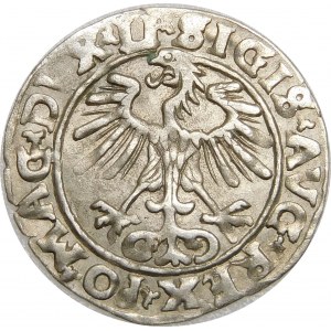 Zygmunt II August, Półgrosz 1555, Wilno – LI/LITV