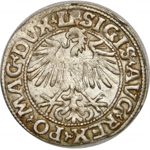 Zygmunt II August, Półgrosz 1549, Wilno – 10 Pogoń, LI/LITVA