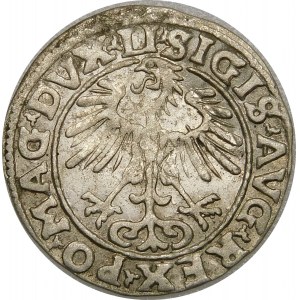 Zygmunt II August, Półgrosz 1555, Wilno – LI/LITVA