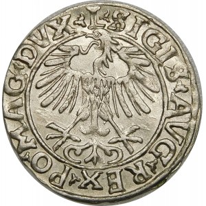Zygmunt II August, Półgrosz 1556, Wilno – L/LITVA