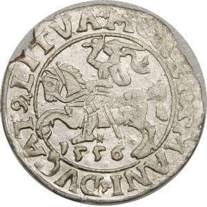 Zygmunt II August, Półgrosz 1556, Wilno – L/LITVA – błąd MANI – b. rzadki