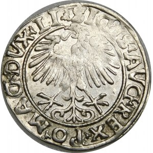 Zygmunt II August, Półgrosz 1556, Wilno – LI/LITVA na 384