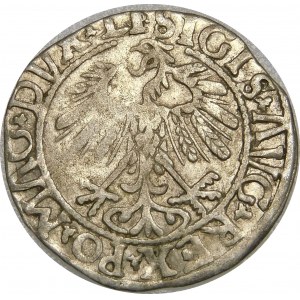 Zygmunt II August, Półgrosz 1558, Wilno – LI/LITVA – A bez poprzeczki – rzadki