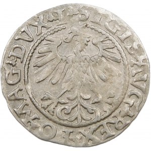 Zygmunt II August, Półgrosz 1560, Wilno – DVX L/LITV