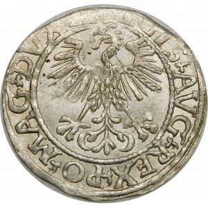 Zygmunt II August, Półgrosz 1561, Wilno – 13 Orzeł, LI/LITV