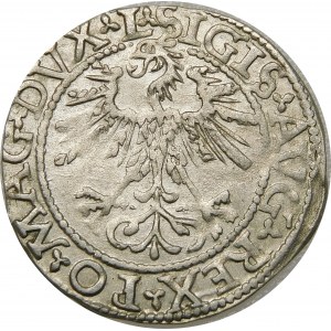 Zygmunt II August, Półgrosz 1562, Wilno – 17 Pogoń, L/LITVA