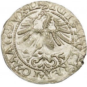 Zygmunt II August, Półgrosz 1563, Wilno – 19 Pogoń, Topór, DVX LI/LITV