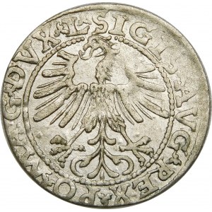 Zygmunt II August, Półgrosz 1563, Wilno – 19 Pogoń, Topór, DVX L/LITV