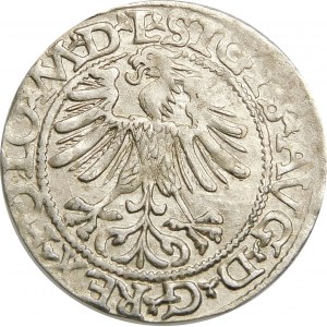Zygmunt II August, Półgrosz 1565, Wilno – 22 Pogoń, Topór, L/LITVA