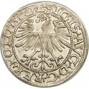 Zygmunt II August, Półgrosz 1565, Wilno – przebitka daty 1 5/6 6/5 5 – b. rzadki
