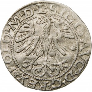 Zygmunt II August, Półgrosz 1565, Wilno – 22 Pogoń, Topór, L/LITV