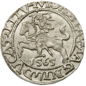 Zygmunt II August, Półgrosz 1565, Wilno – przebitka MAG/NNI – b. rzadki