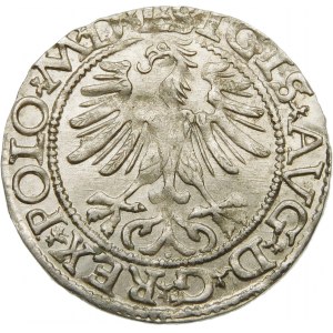 Zygmunt II August, Półgrosz 1565, Wilno – przebitka MAG/NNI – b. rzadki