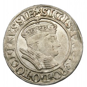 Zygmunt I Stary, Grosz 1534, Toruń – w czepcu i koronie