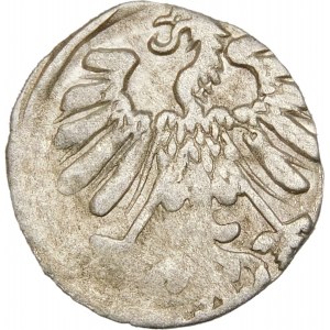 Zygmunt II August, Denar 1558, Wilno