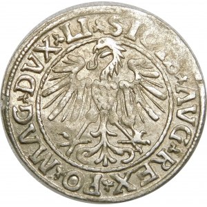 Zygmunt II August, Półgrosz 1547, Wilno – A bez poprzeczki – rzadki