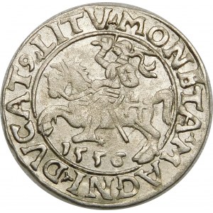 Zygmunt II August, Półgrosz 1556, Wilno – LI/LITV