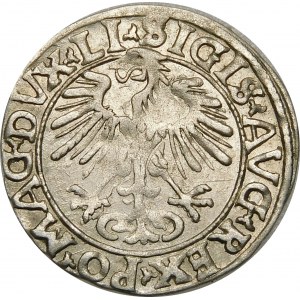 Zygmunt II August, Półgrosz 1556, Wilno – LI/LITV
