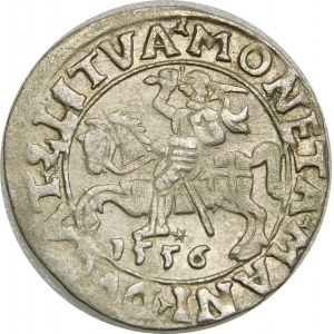Zygmunt II August, Półgrosz 1556, Wilno – LI/LITVA – błąd MANI – b. rzadki
