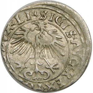 Zygmunt II August, Półgrosz 1556, Wilno – LI/LITVA – błąd MANI – b. rzadki