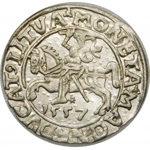 Zygmunt II August, Półgrosz 1557, Wilno – L/LITVA – wariant
