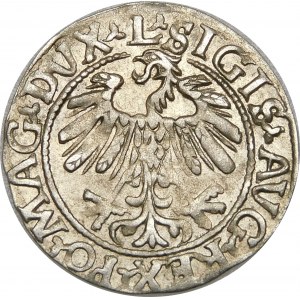 Zygmunt II August, Półgrosz 1559, Wilno – L/LITV – duża 9 – rzadki