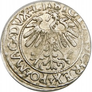 Zygmunt II August, Półgrosz 1559, Wilno – LI/LITVA