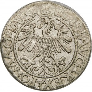 Zygmunt II August, Półgrosz 1560, Wilno – DVX L/LITVA – rzadki