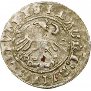 Zygmunt I Stary, Półgrosz 1512, Wilno – ciekawostka – nieopisana