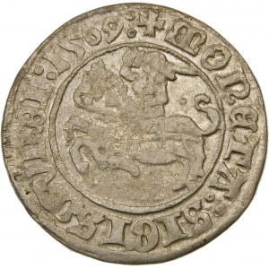 Zygmunt I Stary, Półgrosz 1509, Wilno – Pogoń bez pochwy – Pierścień nad Pogonią – b. rzadki