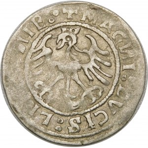 Zygmunt I Stary, Półgrosz 1520, Wilno – błąd, SIGISMVANDI – trzykropek – b. rzadki