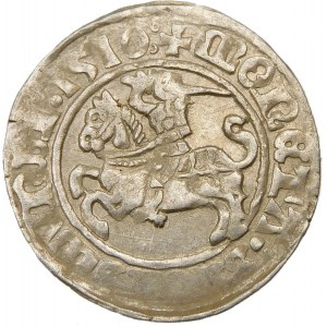 Zygmunt I Stary, Półgrosz 1510, Wilno – duże zero, dwukropki