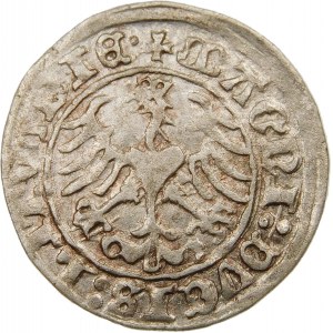 Zygmunt I Stary, Półgrosz 1510, Wilno – duże zero, kropka – b. rzadki