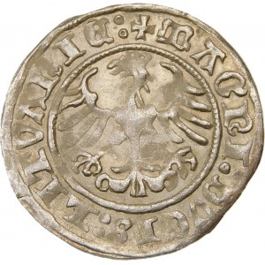 Zygmunt I Stary, Półgrosz 1511, Wilno – dwukropek – ciekawostka – piękna