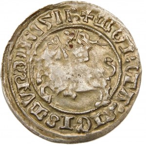 Zygmunt I Stary, Półgrosz 1511, Wilno – dwukropki