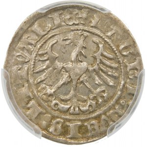 Zygmunt I Stary, Półgrosz 1512, Wilno – błąd, lustrzane D – rzadki