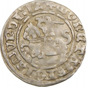 Zygmunt I Stary, Półgrosz 1512, Wilno – dwukropek – ciekawostka